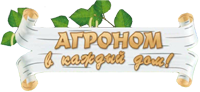 Solomon аватар